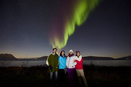 Group of guests under the northern lights