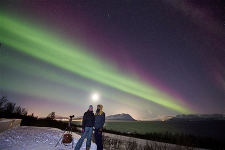 Two guests under the northern lights