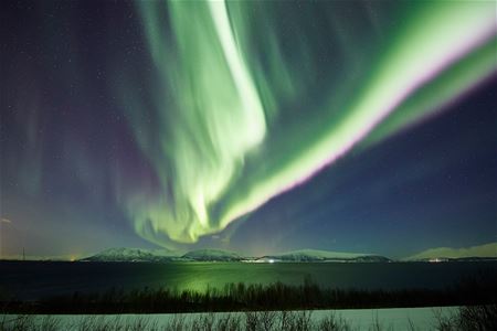 Northern lights over the coast