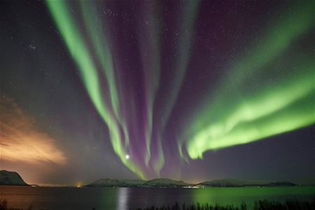 Northern lights over the coast