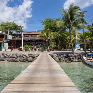 Splash Inn & Dive Resort