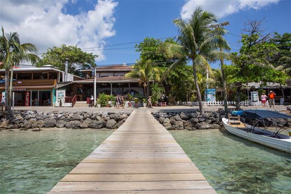 Splash Inn & Dive Resort 