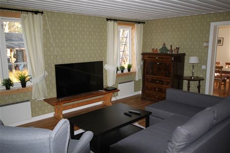 Living room with sofa and tv.
