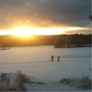 Cross-country skiers in sunset.