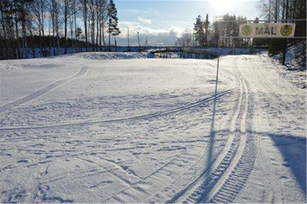 Cross-country ski area.