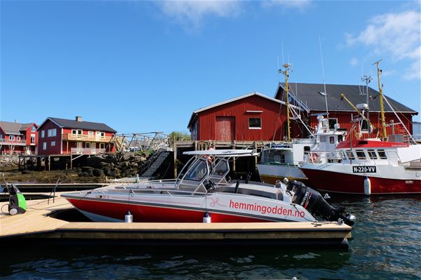 Hemmingodden Lofoten Fishing Lodge - accommodation rorbuer 