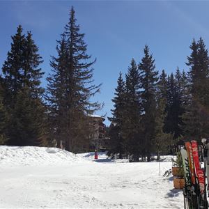 3 pièces, 4 personnes skis aux pieds / Domaine du Jardin Alpin 105B (Montagne)