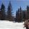 1 studio 4 personnes, skis aux pieds / Domaine du Jardin Alpin 108B (Montagne de Charme) / Séjour Sérénité