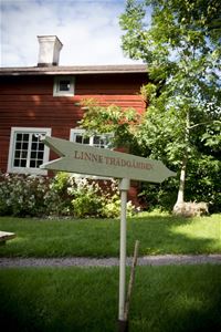 Skylt Linne Trädgården, gräsmatta och huset.