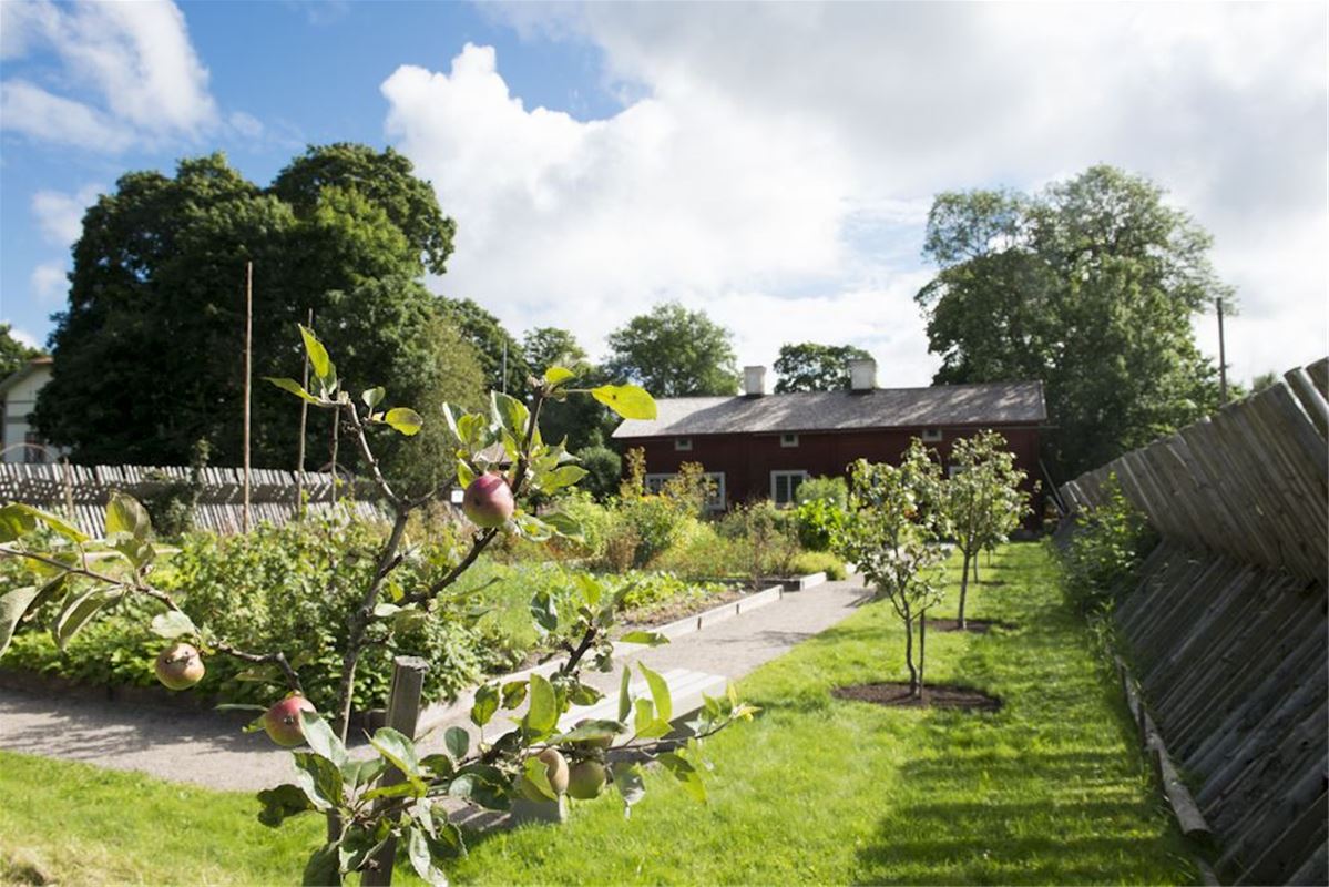 A garden, a gravel walk, a red timber building.