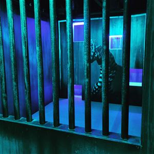 En person som är instängd i en mörk fängelsecell. 