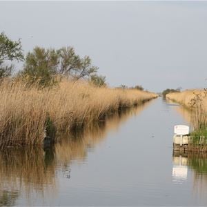 To discover, understand, enjoy the CAMARGUE with Phil ! (half-day)