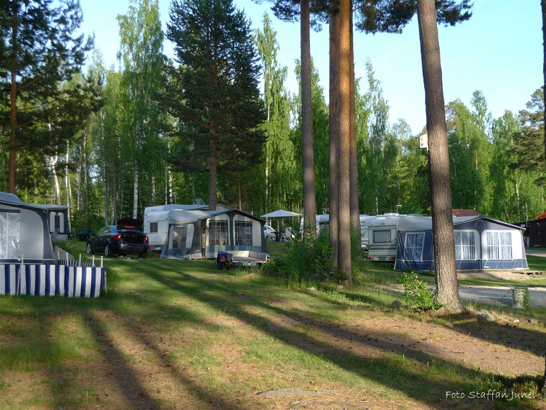 Caravans with tents placed among the trees on the campsite. 