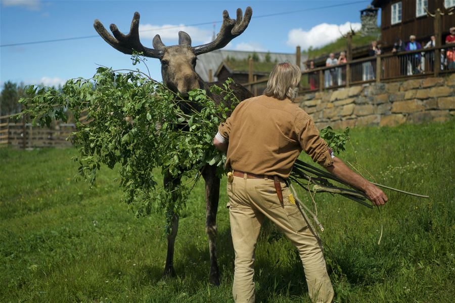 Foto: Erland Husom / Nasjonalparkriket