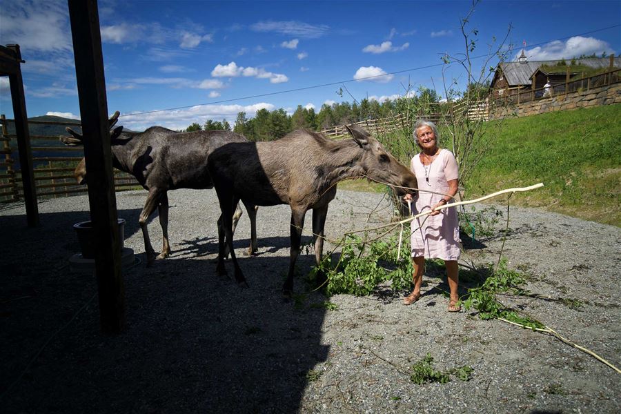 Foto: Erland Husom / Nasjonalparkriket