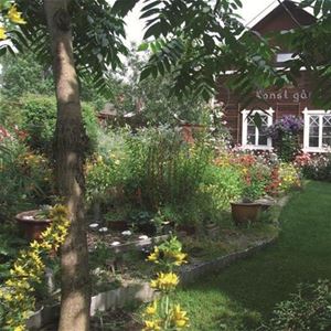 Garden with flowers and trees.