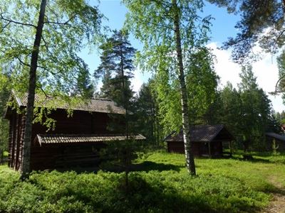 Flera träd som står intill en gammal timrad stuga. 