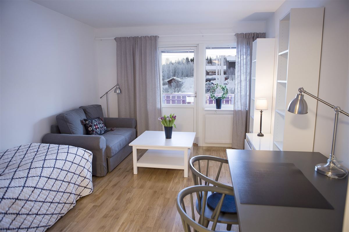 Room with sofa, table,  bookshelf, bed and a desk with two chairs. 