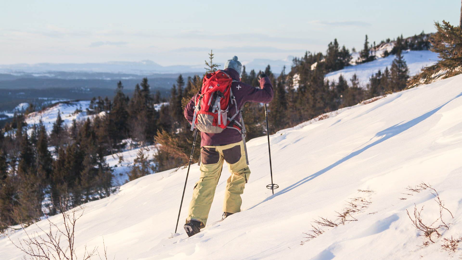 Snöskovandring i Årefjällen