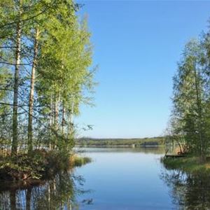 Metsäpirtti | Pätiälä manor holiday cottages