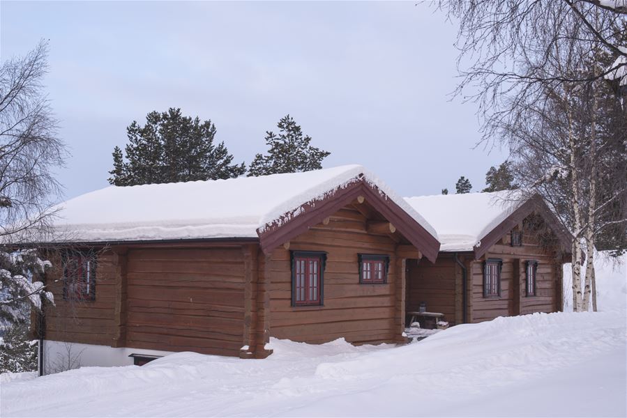 cbis:1550058-10
