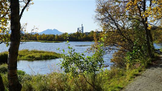 View over lake