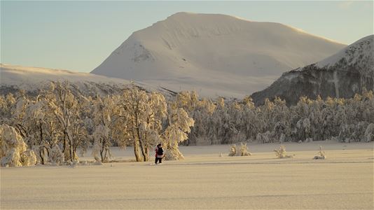 Snowy landscape with mountains in background
