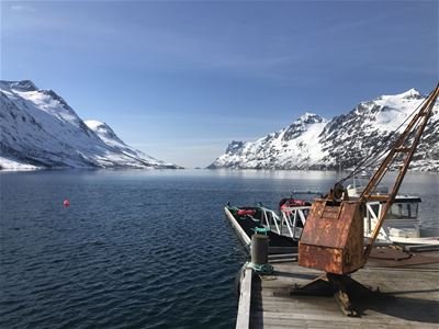 View from dock out over fjord