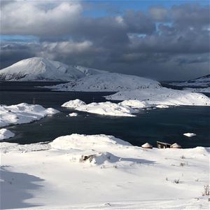 vinter med snø overalt