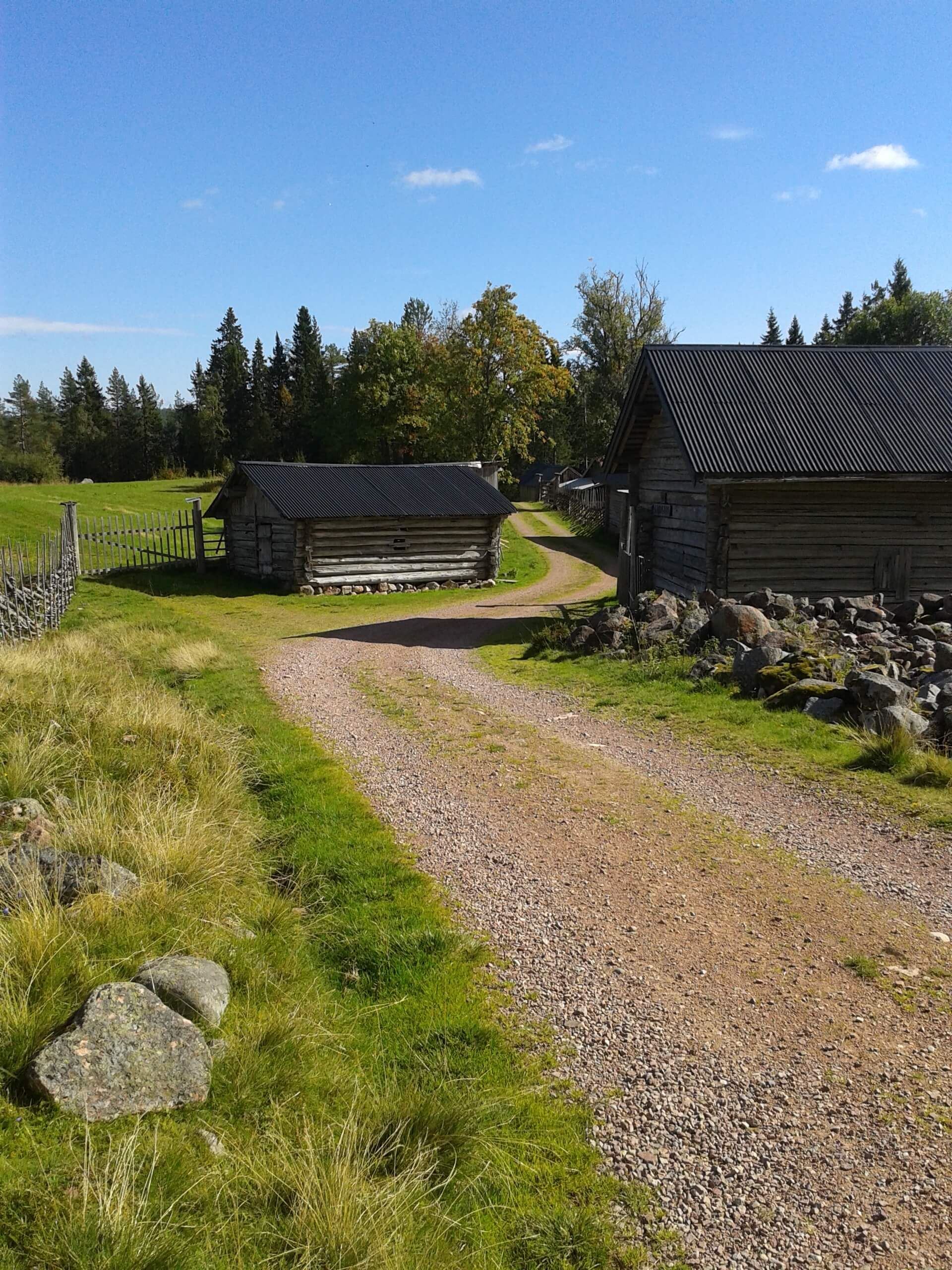 Upplev en levande fäbod i Dalarna 