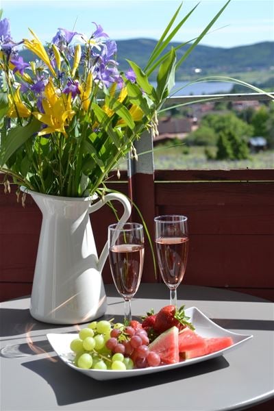 Plate with fruit, two glasses of wine and a vase of flowers standing on a table on the balcony with a view over lake Siljan.  