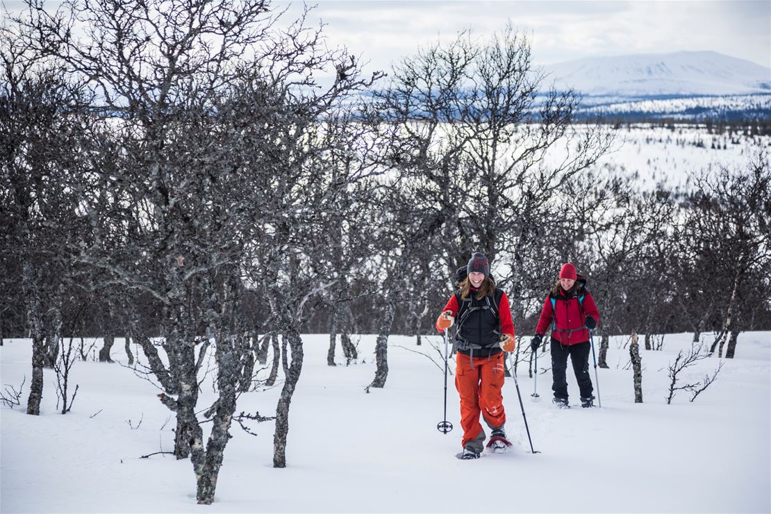 Snöskor i Lofsdalen