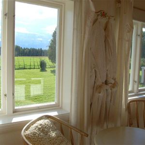 View over the lawn through two white windows.
