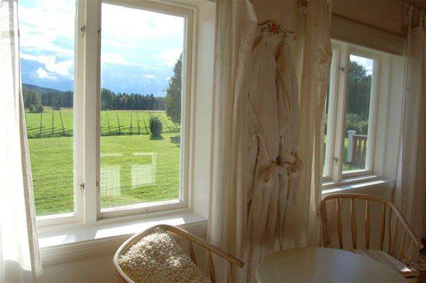 View over the lawn through two white windows. 