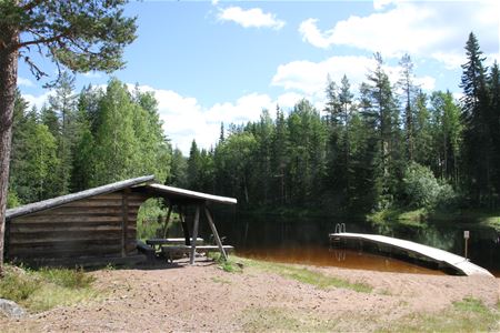 Small shelter and a lake surrounded by trees 