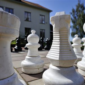 A chess board.