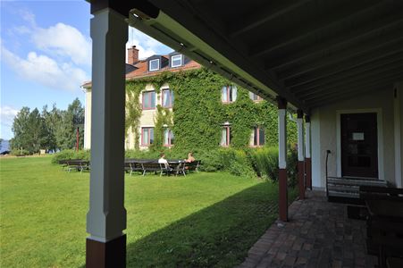 A green garden.