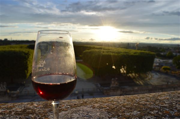 French Guided tour: "Meeting at the top with the winemakers of AOC Languedoc"