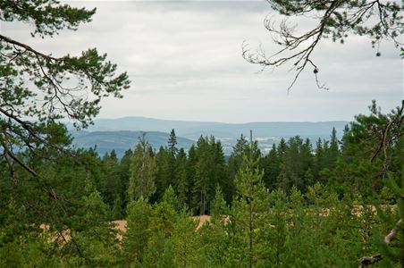 View from the mountain.