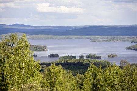 Utsikt från Ärtknubben, träd sjö och blånande berg i bakgrunden.