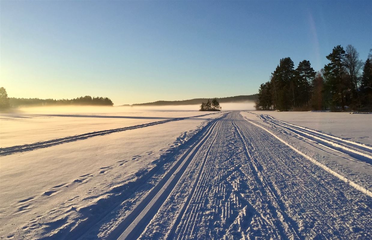 Skidspår på en sjö i solnedgång.