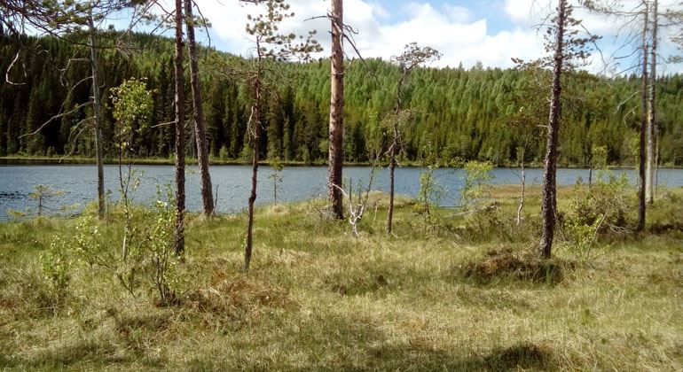 Bodåsen, Bergsjö, Nordanstig, Hälsingland