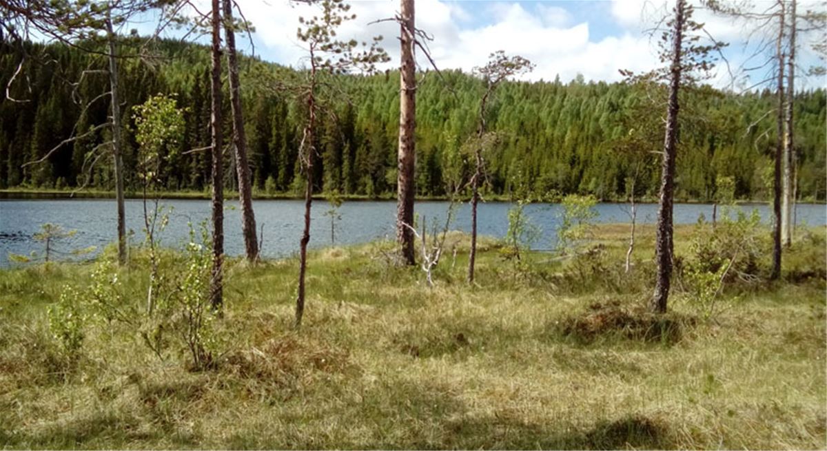 Bodåsen, Bergsjö, Nordanstig, Hälsingland