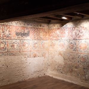 Montpellier médiéval et la chambre peinte de l'Hôtel de Gayon