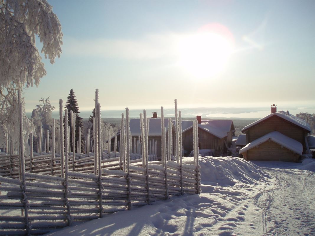 Snow-covered dala fence and sunshine from a clear blue sky