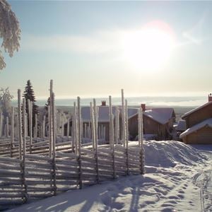 Snöklädd gärdesgård en solig vinterdag.