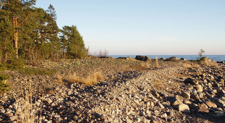 På Klackudden syns strandvallar över klapperstensfälten. Naturreservat. Nordanstigs kommun, Hälsingland