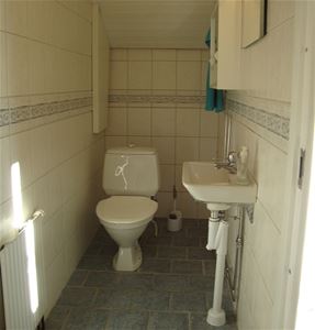 A toilet and a basin.
