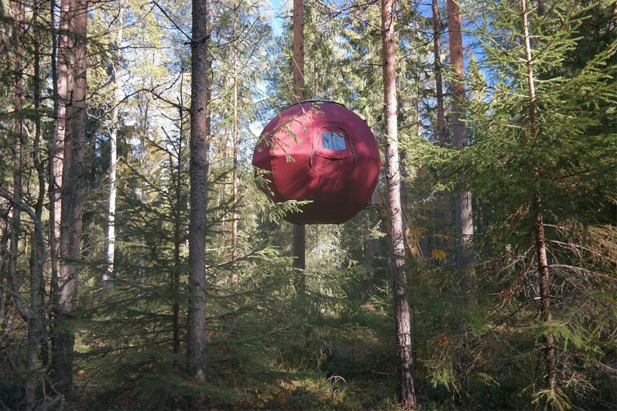 Röd trädkoja uppe i träd.