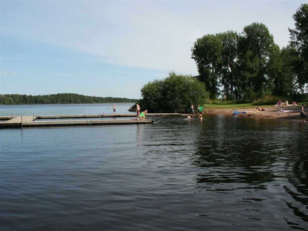 Dock during summertime.